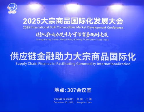 供應(yīng)鏈金融賦能大宗商品國際化 2025年大會(huì)平行活動(dòng)聚焦信息技術(shù)咨詢服務(wù)